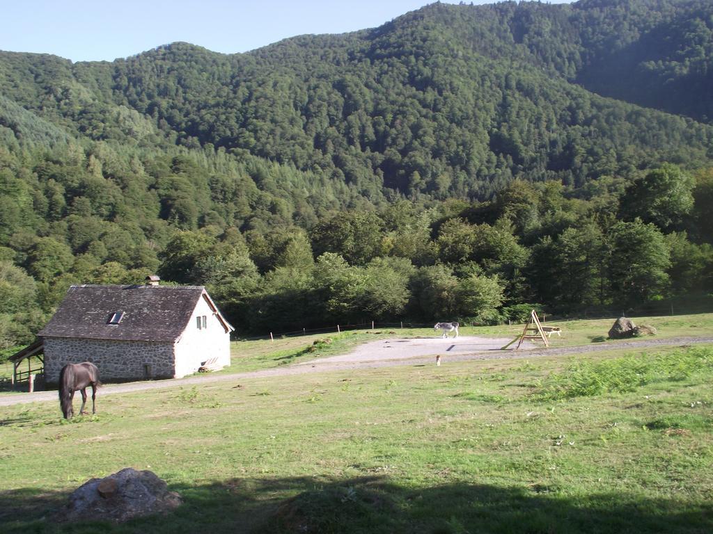 Les Chalets De La Foret D'Issaux Osse-en-Aspe Room photo