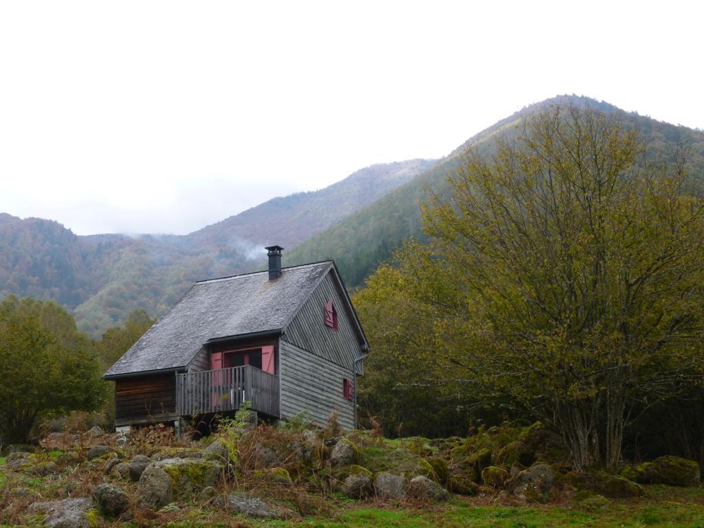 Les Chalets De La Foret D'Issaux Osse-en-Aspe Exterior photo